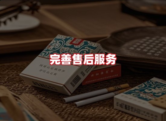 专业团队